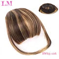 Gold Set Clip-in Bangs